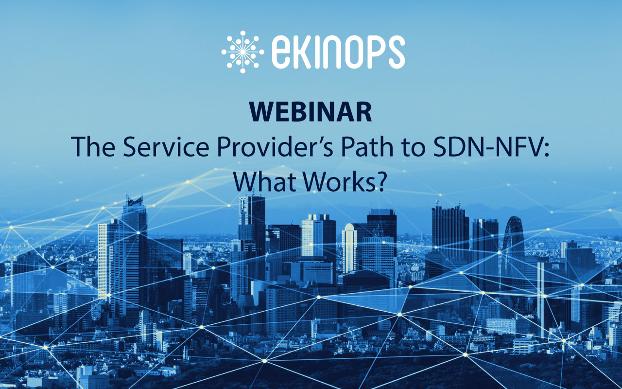 The Service Provider’s Path to SDN-NFV: What Works?